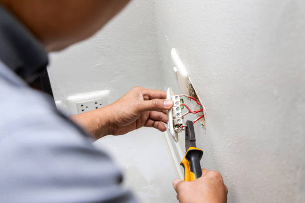 Best Electric Panel Repair  in Campbell, MO